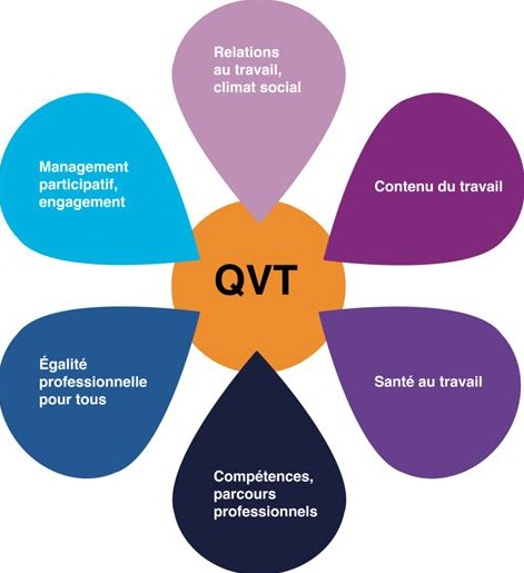 fleur qvct